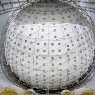 Entre mathématiques et informatique, Stéphane Mallat médaillé d'or 2025 du CNRS