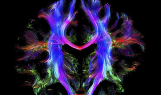 Photographie : les sciences en prennent plein la vue