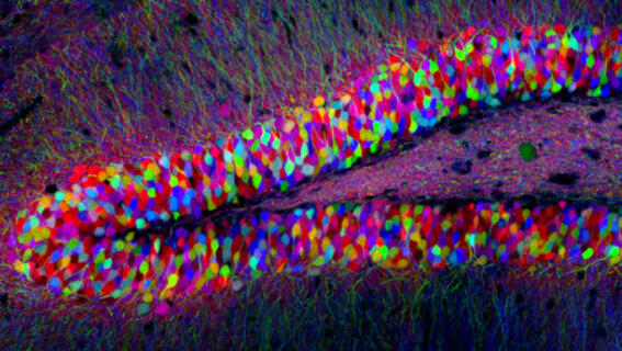 Photographie : les sciences en prennent plein la vue