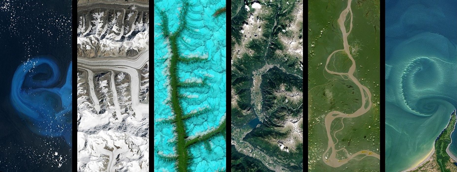 Webinar Series: Teaching with EMERGE & GLOBE Mission Mosquito