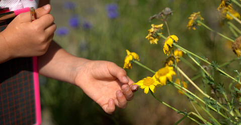Les mystères de la voix