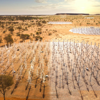 Des femmes et des enfants néandertaliens victimes d’un cannibalisme sélectif à Goyet