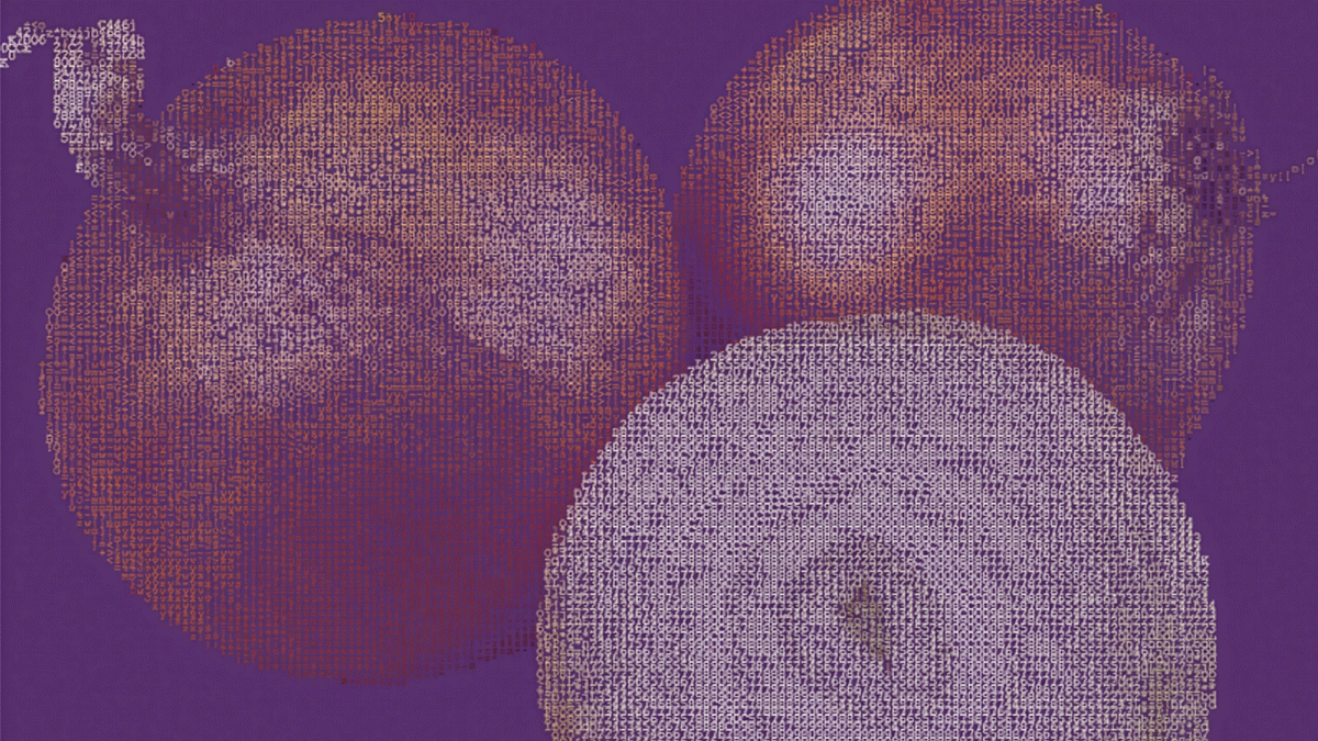 Mexican government partially unblocks secure internet