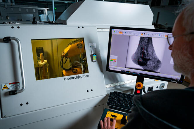 Femmes du Néolithique (1) : une société au microscope