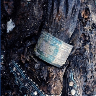 Première participation du CNRS au festival de science-fiction « Les Mycéliades »