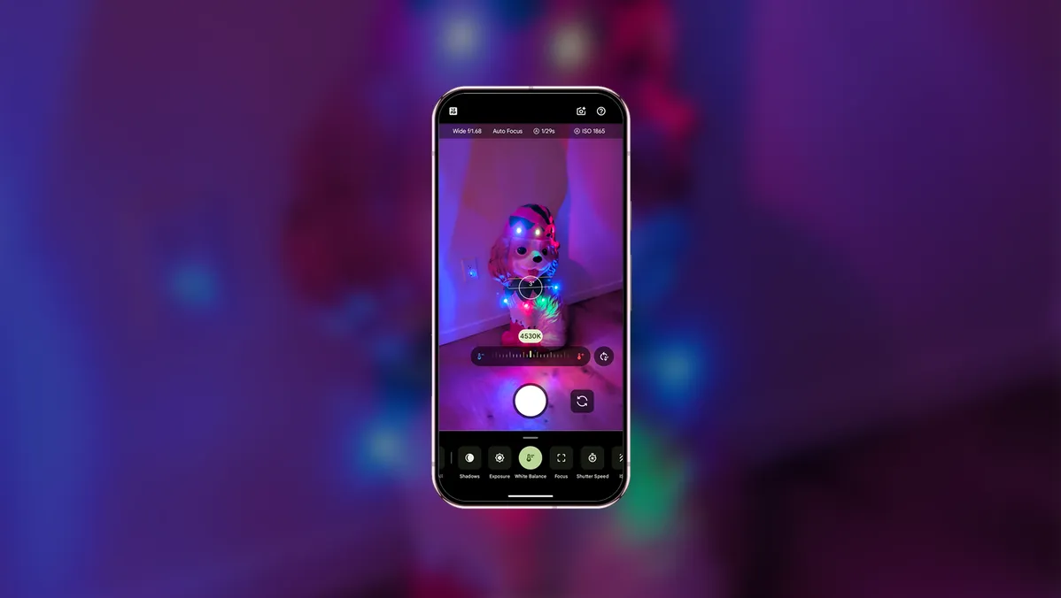 Google au pied du sapin : Votre Guide Ultime pour des Fêtes Connectées et Sans Stress