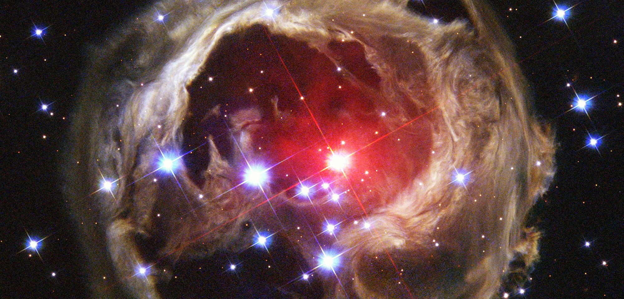 Hubble Nets Menagerie of Young Stellar Objects