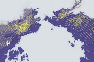 Fire on Ice: The Arctic’s Changing Fire Regime