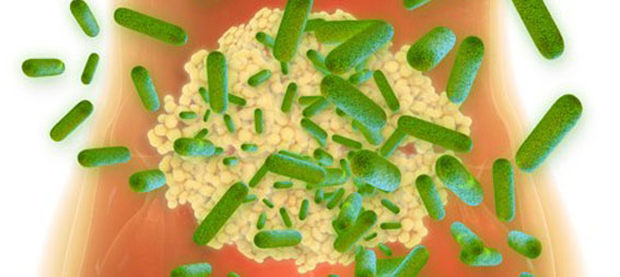 RÉVÉLATION CHOC : Le secret insoupçonné de vos intestins qui contrôle votre immunité enfin dévoilé par des chercheurs français !