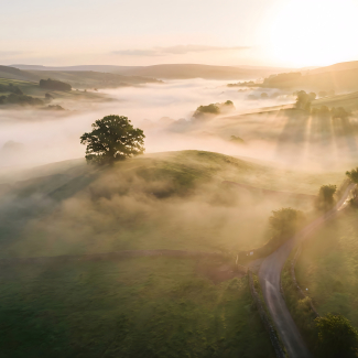 RÉVÉLATION SCIENTIFIQUE : Le secret insoupçonné de votre crâne va révolutionner la protection de votre cerveau !