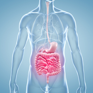 RÉVÉLATION FRANCE 2030 : Le CNRS DÉVOILE L'ARME SECRÈTE qui va propulser la robotique française au sommet MONDIAL !