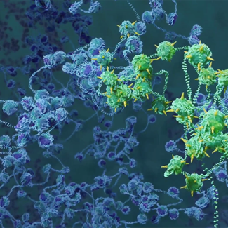 UNE RÉVOLUTION SE PRÉPARE : Voici comment une découverte INCROYABLE va ENFIN BOOSTER les immunothérapies contre le cancer !