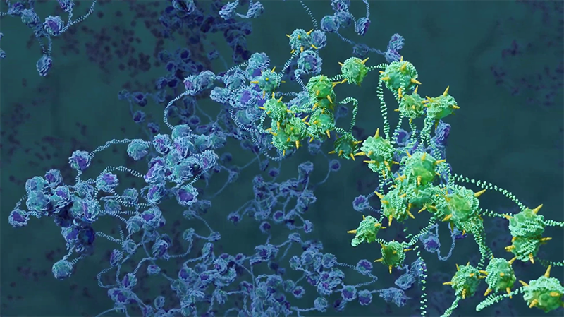 RÉVÉLATION CHOC : Le secret inouï de votre ADN enfin percé – Une découverte qui va bouleverser la médecine !