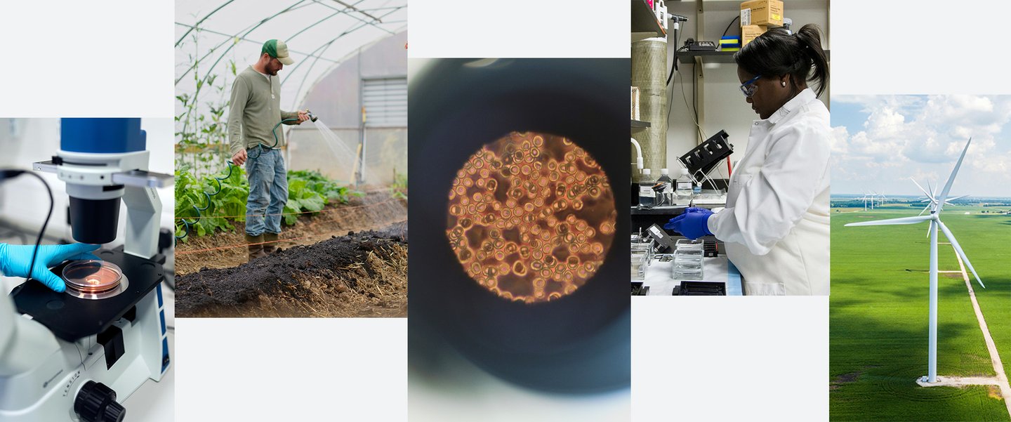 INCROYABLE : Google dégaine l'arme secrète qui va RÉVOLUTIONNER la science pour toujours !