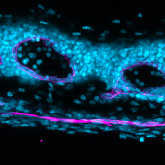 RÉVÉLATION CHOC : Le plus grand fleuve d'Asie renaît de ses cendres après 70 ans, et ce n'est pas un miracle !