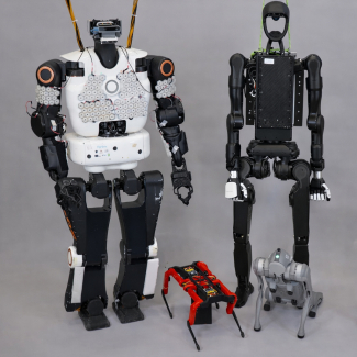 INCROYABLE RÉVÉLATION : Et si les pesticides protégeaient NOS oiseaux ? La science bouleverse tout !