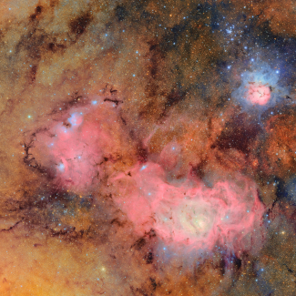 RÉVÉLATION CHOC : Ces 7 ans perdus par les dauphins ! Comment la TECH dévoile un drame qui va tout bouleverser.