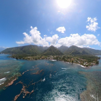 RÉVÉLATION CHOC : VOTRE INTESTIN CONTRÔLE VRAIMENT VOTRE CERVEAU ET VOS DÉSIRS ! La science le prouve ENFIN.