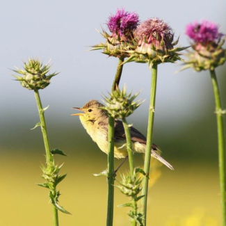 RÉVÉLATION CHOC : Le secret inouï de votre ADN enfin percé – Une découverte qui va bouleverser la médecine !