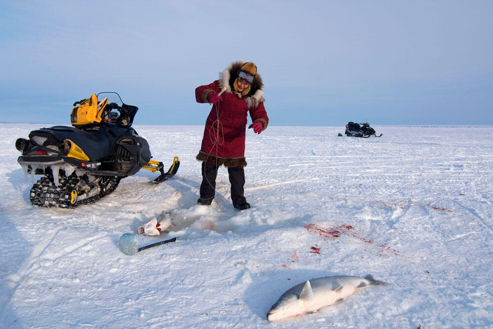 RÉVÉLATION CHOC : Votre corps cache un super-pouvoir INCROYABLE pour défier le froid ! Ce que PERSONNE ne vous a dit...