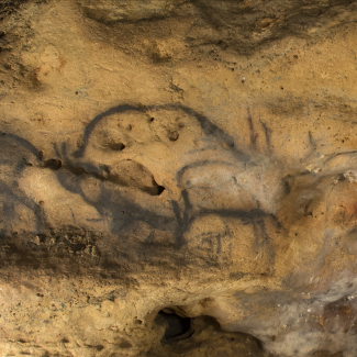 RÉVÉLATION EXCLUSIVE : Cette technologie INÉDITE va bouleverser l'avenir des loups en France !