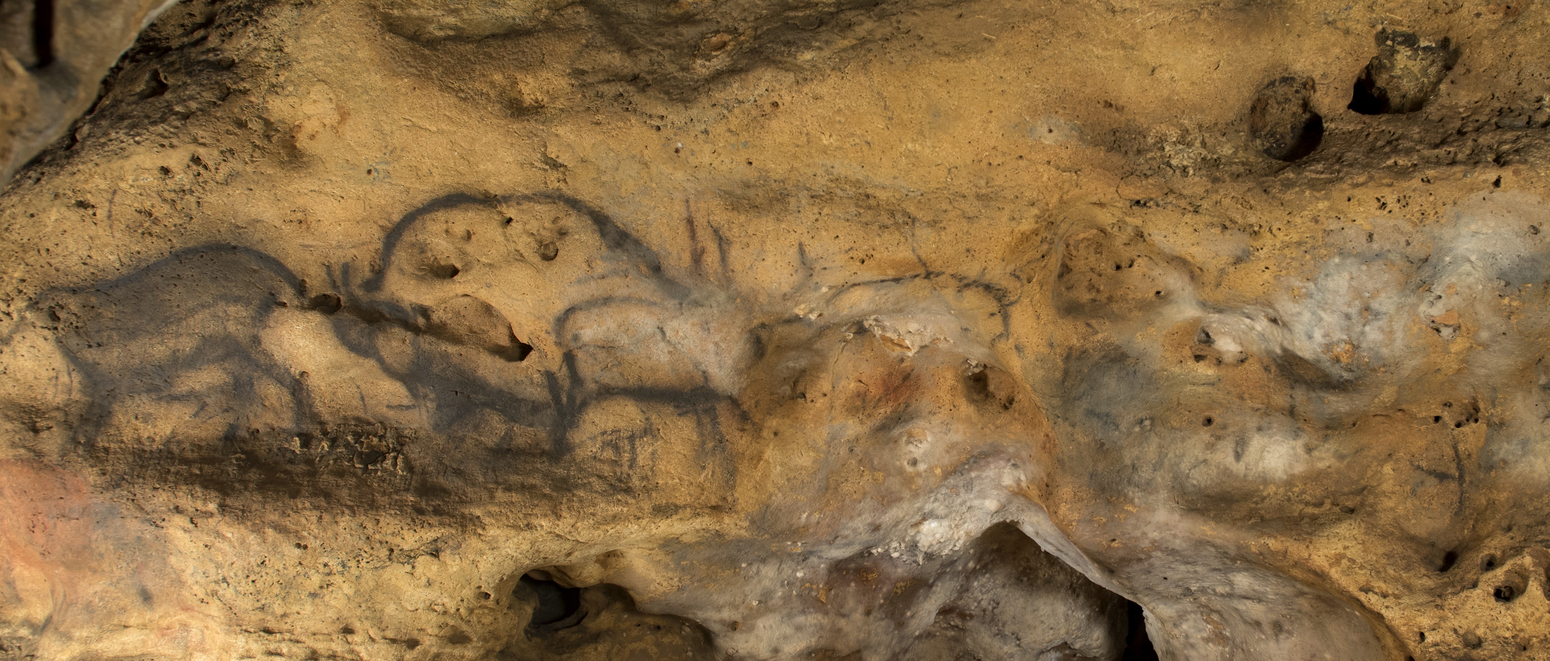 RÉVÉLATION CHOC : Le Secret Millénaire des Grottes de Dordogne ENFIN percé par une Technologie de Pointe !