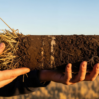 RÉVÉLATION CHOC : Le vrai visage de 
