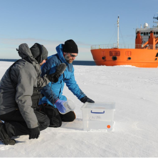 RÉVÉLATION CHOC : Le Secret Millénaire des Grottes de Dordogne ENFIN percé par une Technologie de Pointe !