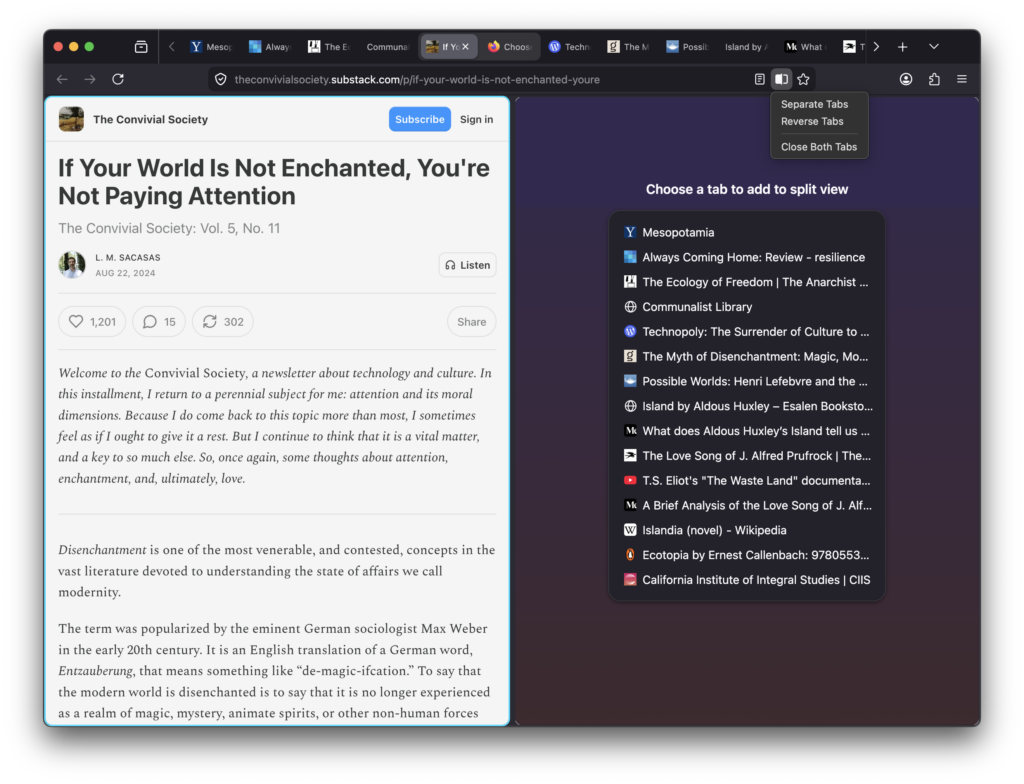 Split View in Firefox: Two tabs side by side, right where you need them