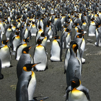 La Maison Poincaré dévoile sa nouvelle exposition : Création, entre arts et mathématiques