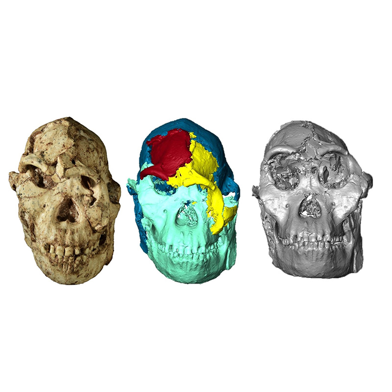 RÉVÉLATION CHOC : Le vrai visage de