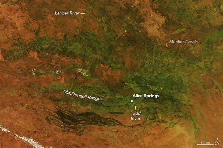 Australia’s “Red Centre” Turns Green