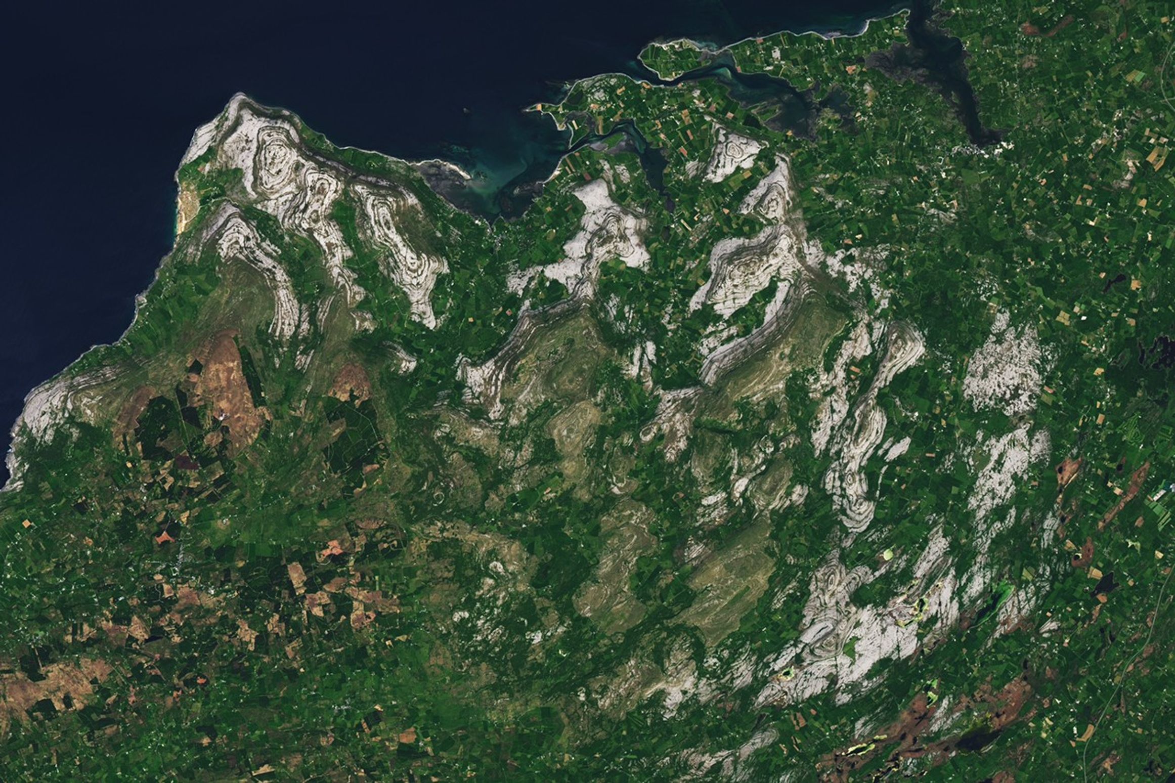 A Bit of Gray on an Emerald Isle