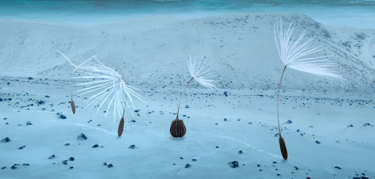 « Planètes », un film du CNRS en ode au vivant