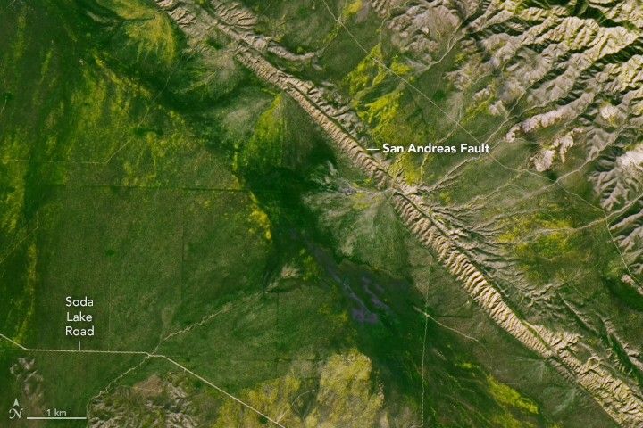 A Fault Line in Full Bloom