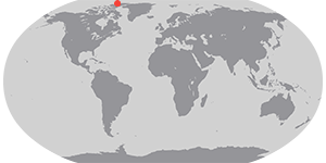 Cañon Fiord’s Whirling Waters