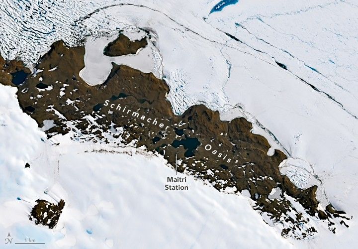 Seeing Blue During Schirmacher’s Summer Melt Season