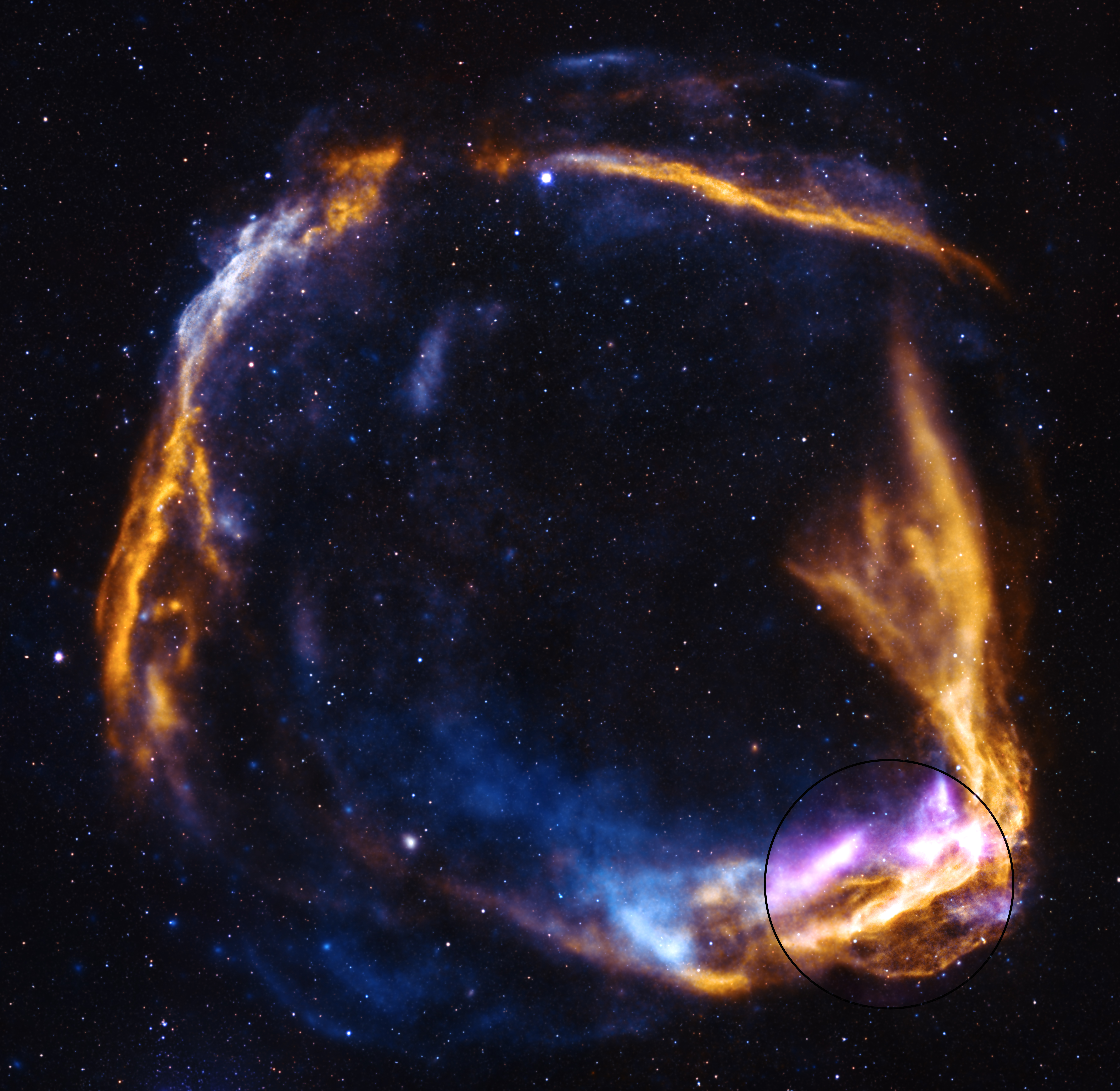 NASA’s IXPE Gets Fresh Look at Supernova