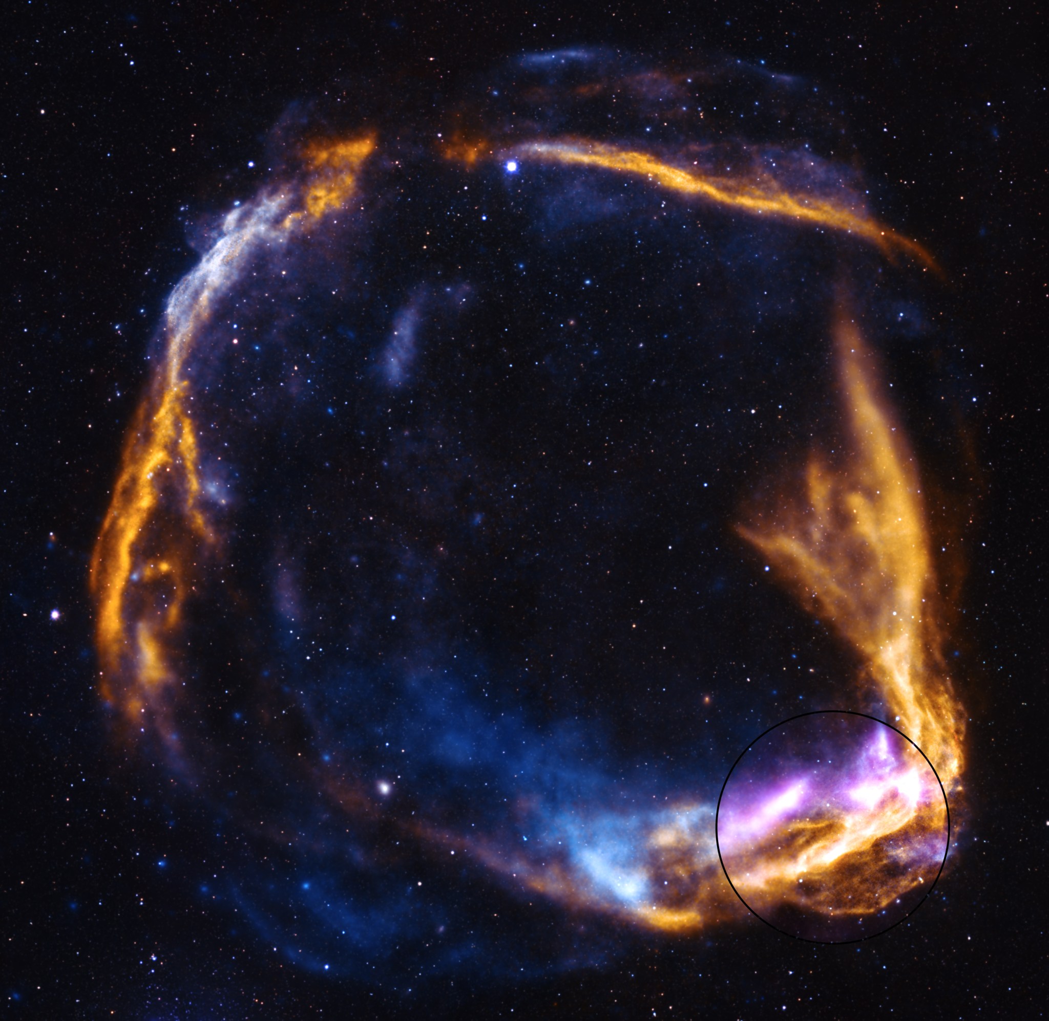 NASA’s IXPE Gets Fresh Look at Supernova