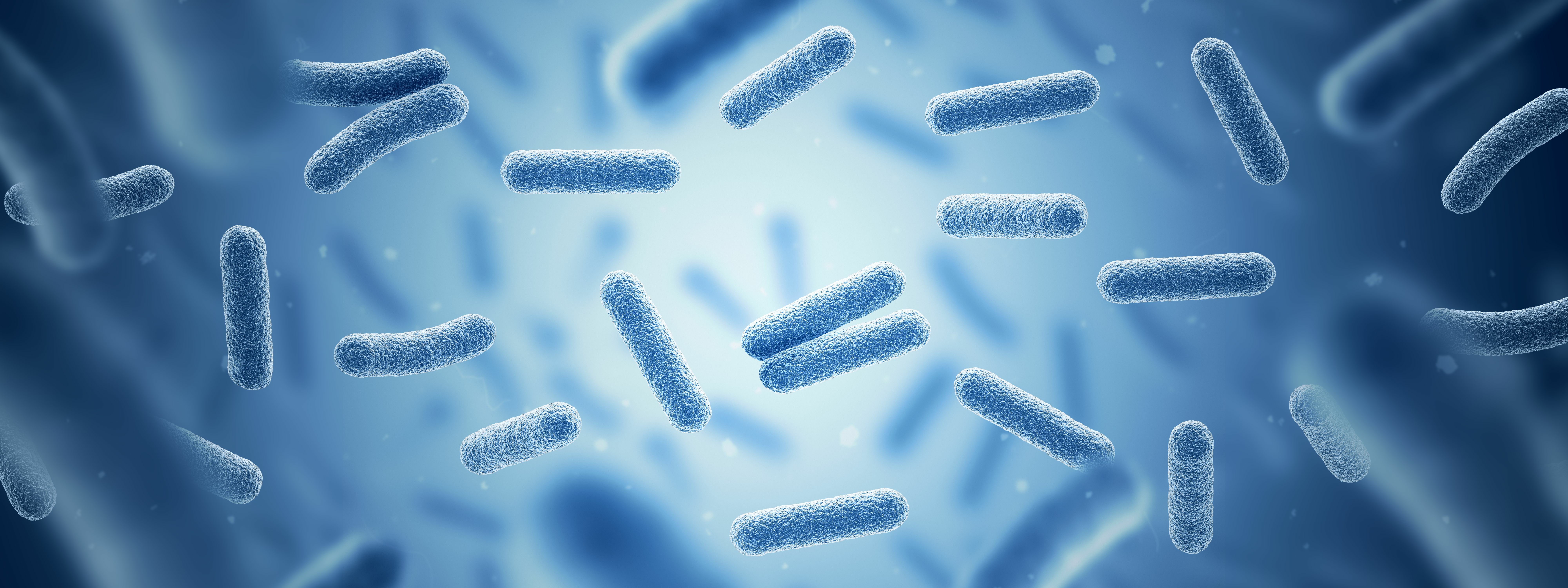 Est-ce que l’ingestion de microbes peut aider à se maintenir en bonne santé ? La modélisation mathématique apporte des réponses