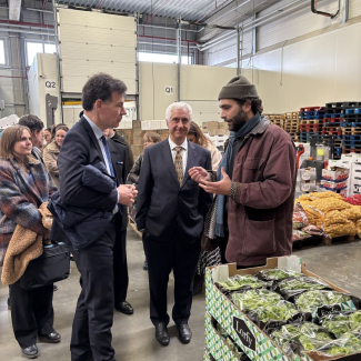 La valse des fermions sous le microscope