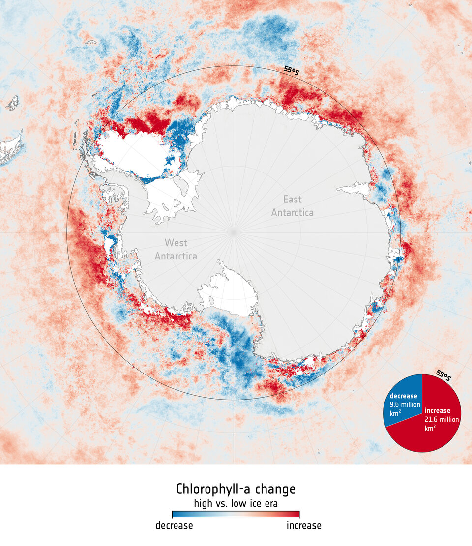 Antarctica’s vanishing sea ice transforms marine life