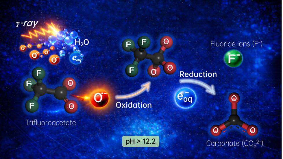 Polluants éternels : un espoir pour lutter contre le TFA, l’un des plus tenaces d’entre eux