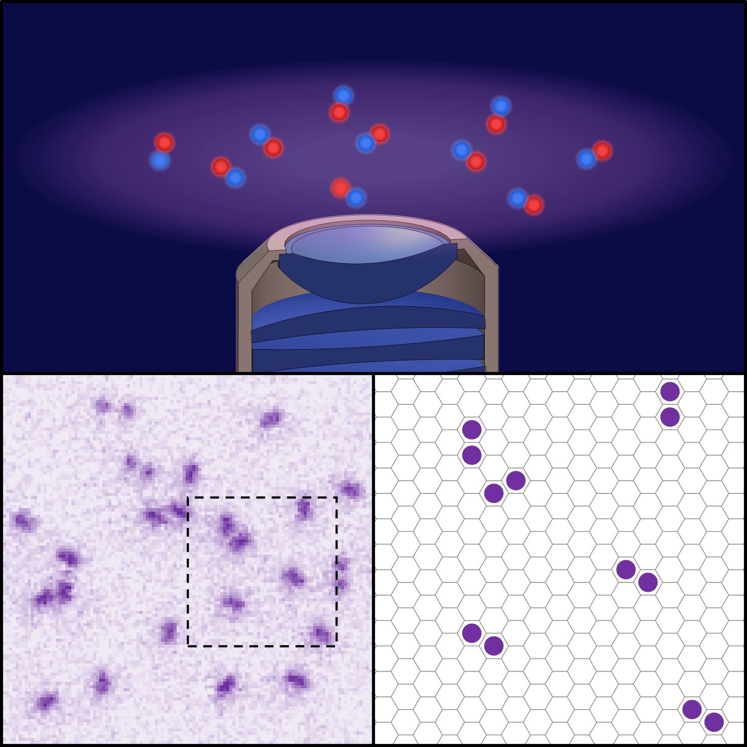 La valse des fermions sous le microscope