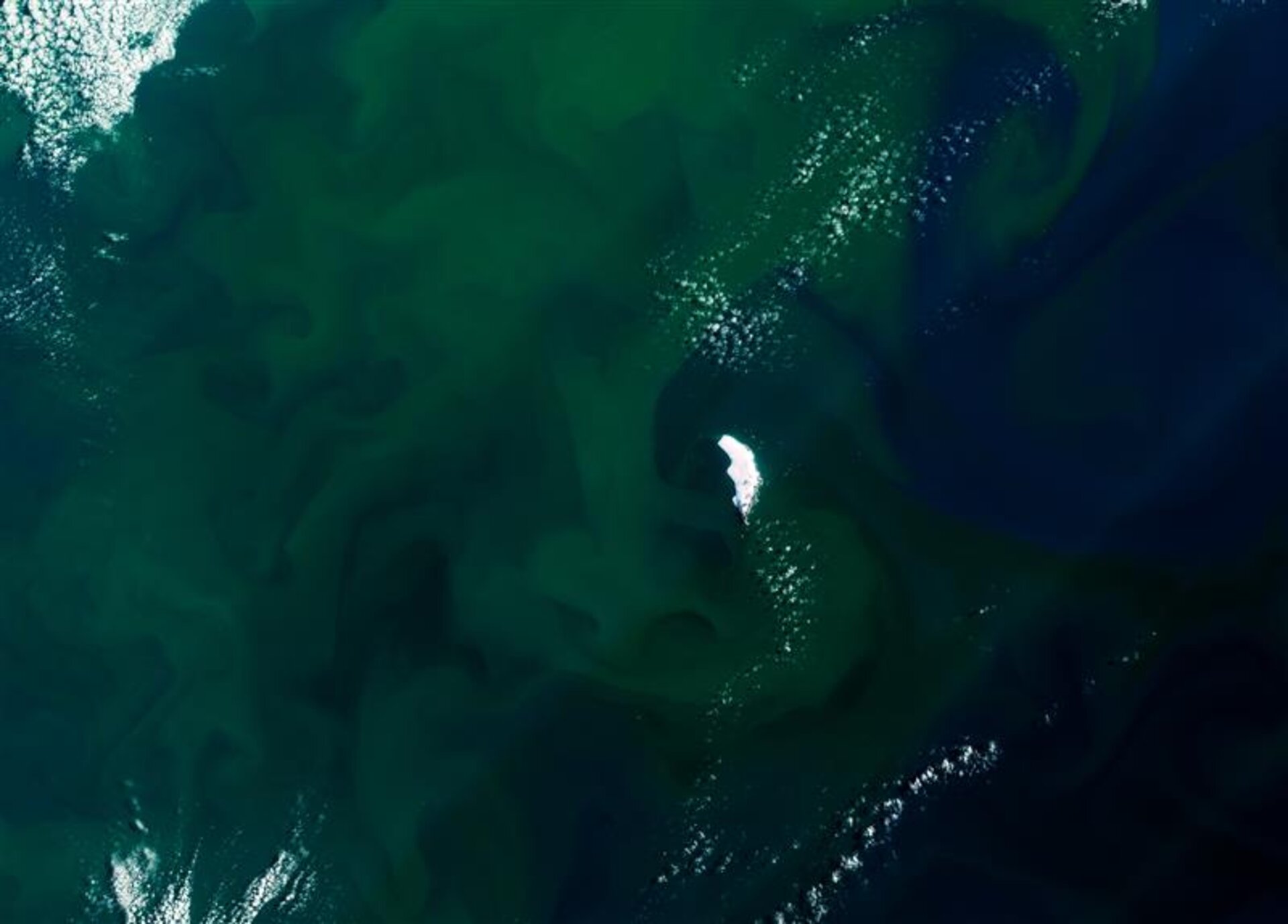 Week in images: 13-17 April 2026