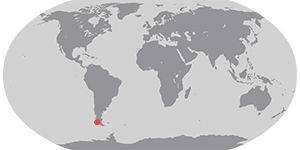 Snow in the Shadow of the Andes