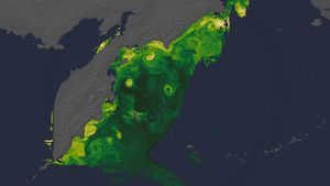 Advancing Earth Observation at NASA since Release of Earthrise Photo