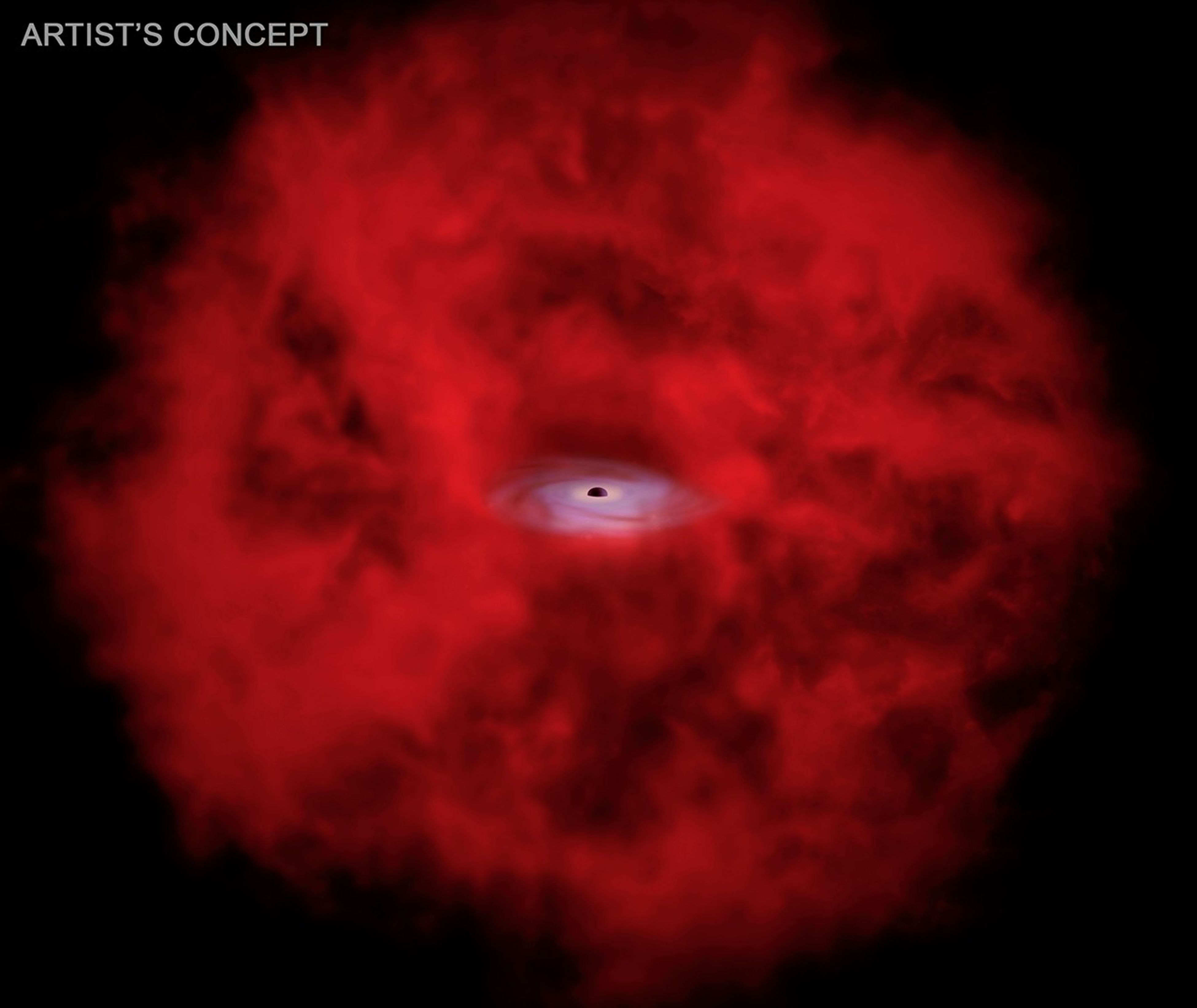 NASA Connects Little Red Dots with Chandra, Webb