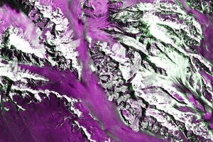 Tracy Arm’s Post-Tsunami Landscape
