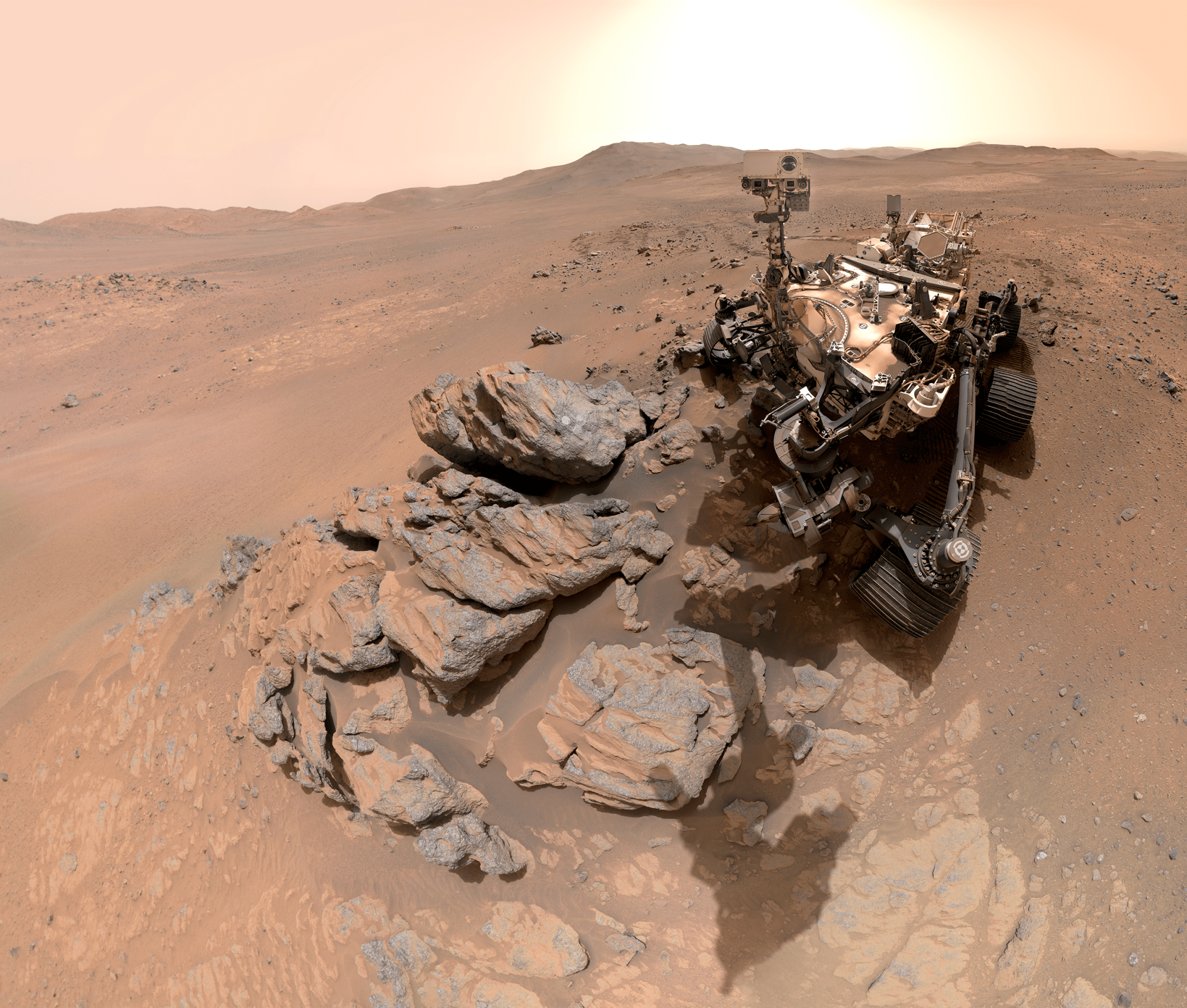 Perseverance Stuns in New Selfie